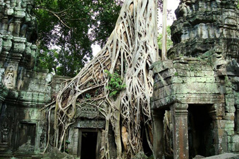 Bayon temple